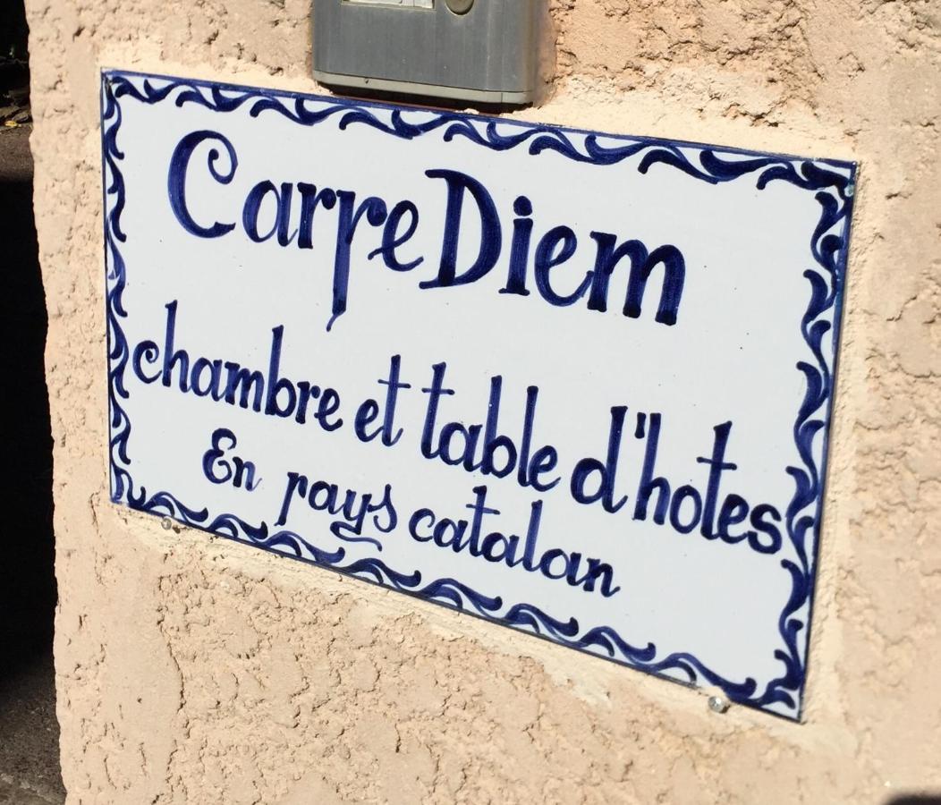 Chambres Table D'Hotes Carpe Diem Villeneuve-la-Rivière Esterno foto